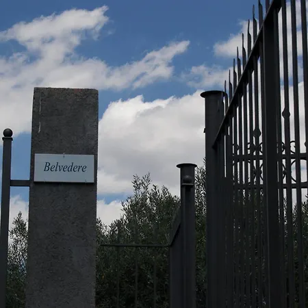 Belvedere *